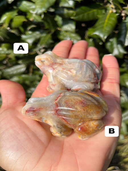 Agate Frog(Select)