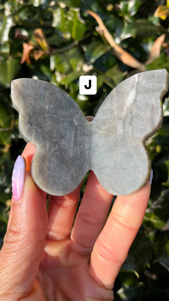 Polarity Moonstone(Select)