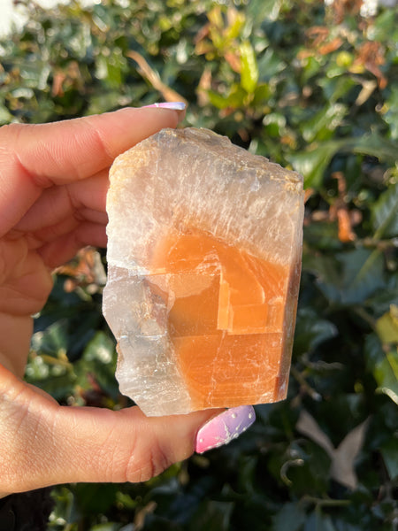 Phantom Calcite