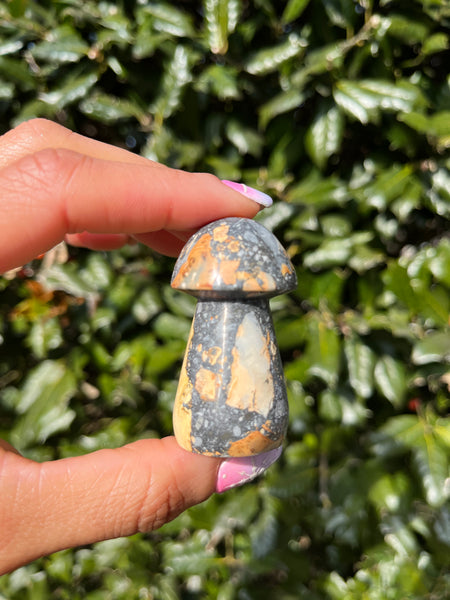 Maligano Jasper Mushroom