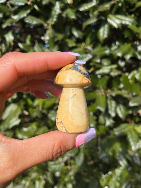Maligano Jasper Mushroom