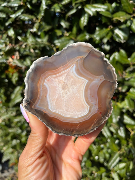 Indonesian Agate