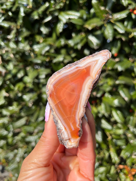 Indonesian Agate