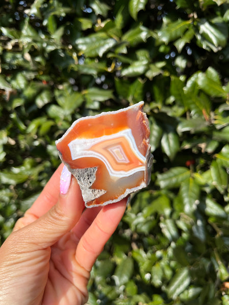Indonesian Agate
