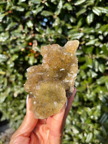 Moscona Mine Fluorite
