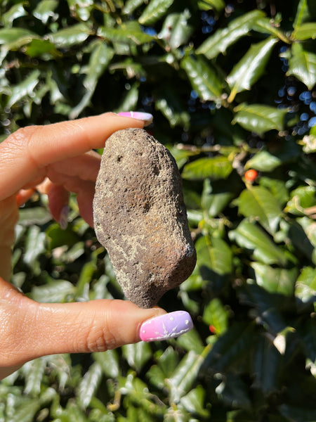 Coyamito Agate w/ Hematite