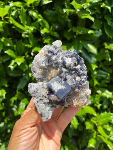 Diana Maria Mine Fluorite - Milky Way Pocket
