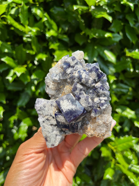 Diana Maria Mine Fluorite - Milky Way Pocket