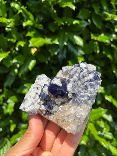 Diana Maria Mine Fluorite - Milky Way Pocket