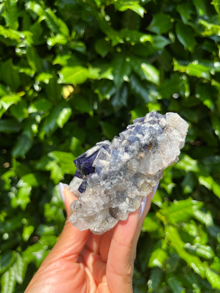 Diana Maria Mine Fluorite - Milky Way Pocket