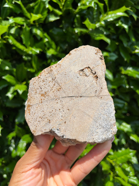 Lady Annabella Mine Fluorite - Bull Vein Pocket