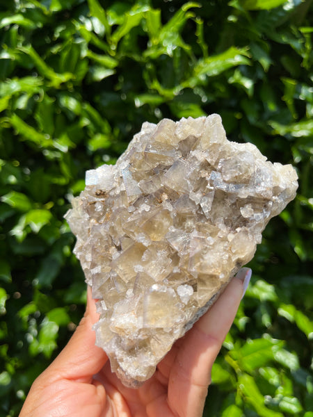 Lady Annabella Mine Fluorite - Bull Vein Pocket