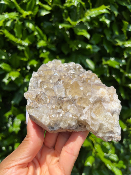 Lady Annabella Mine Fluorite - Bull Vein Pocket