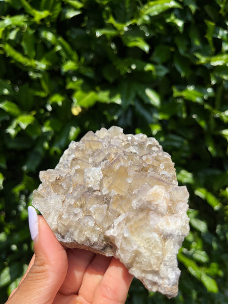 Lady Annabella Mine Fluorite - Bull Vein Pocket