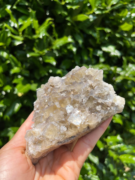 Lady Annabella Mine Fluorite - Bull Vein Pocket