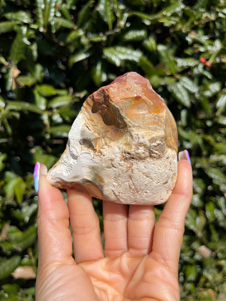 Partially Polished Mookaite