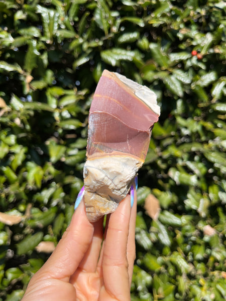 Partially Polished Mookaite