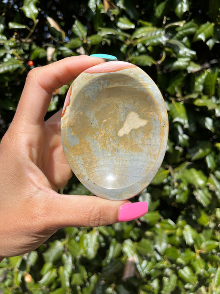Polychrome Jasper Bowl