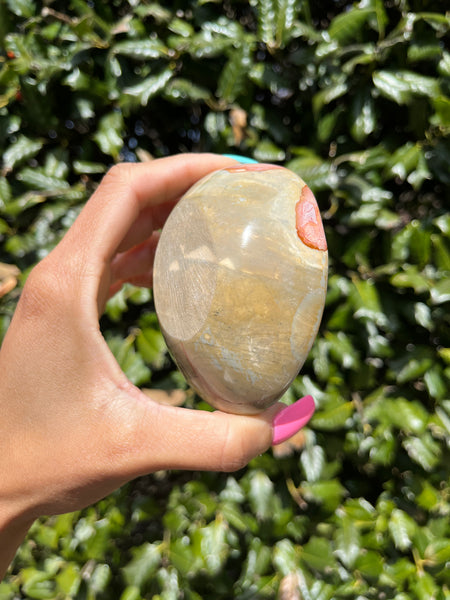 Polychrome Jasper Bowl