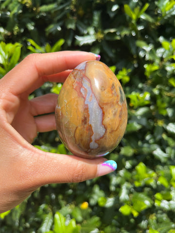 Sea Jasper Egg