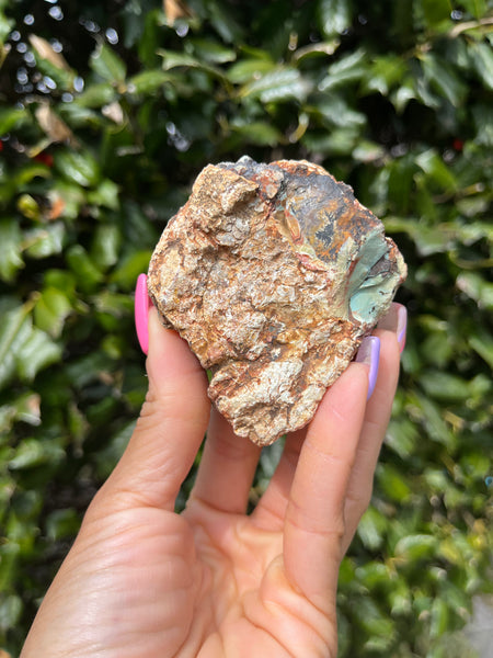 Green Petrified Wood