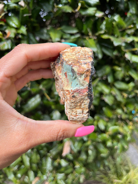 Green Petrified Wood