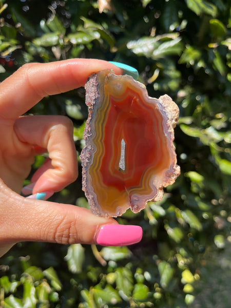 Laguna Agate