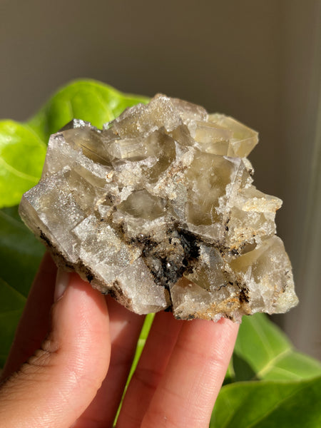 Lady Annabella Mine Fluorite - Harvest Pocket