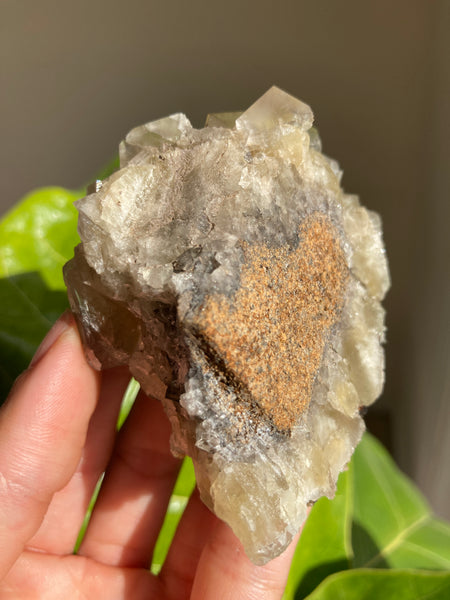 Lady Annabella Mine Fluorite - Harvest Pocket