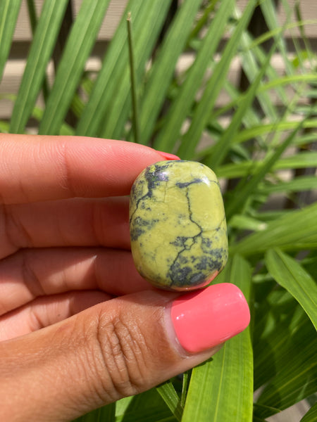 Serpentine Tumbled Stone
