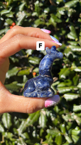 Sodalite Giraffe(Select)