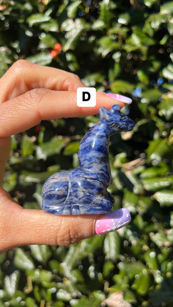 Sodalite Giraffe(Select)