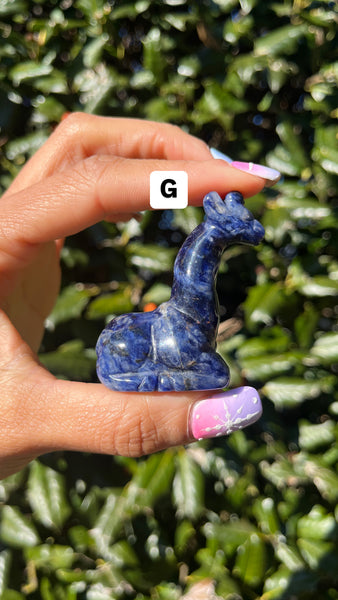 Sodalite Giraffe(Select)