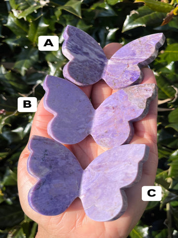 Purple Jade Butterfly(Select)