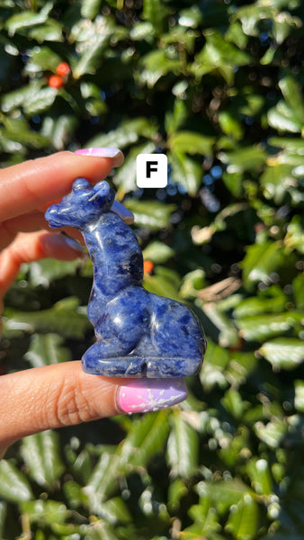 Sodalite Giraffe(Select)