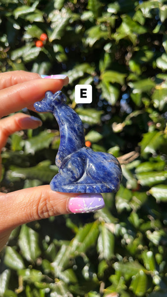 Sodalite Giraffe(Select)