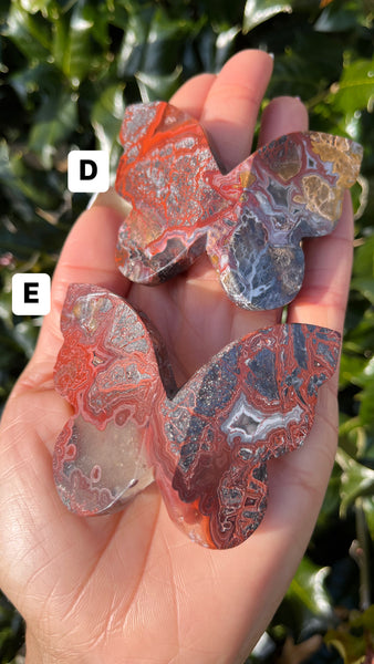 Crazy Lace Agate Butterfly(Select)