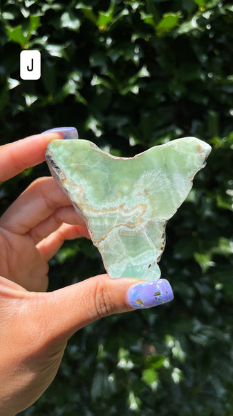 Aragonite Slab