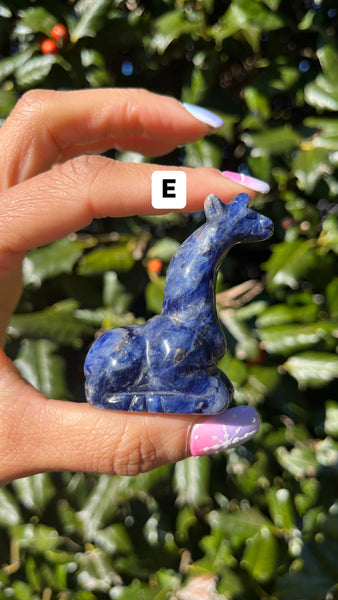 Sodalite Giraffe(Select)