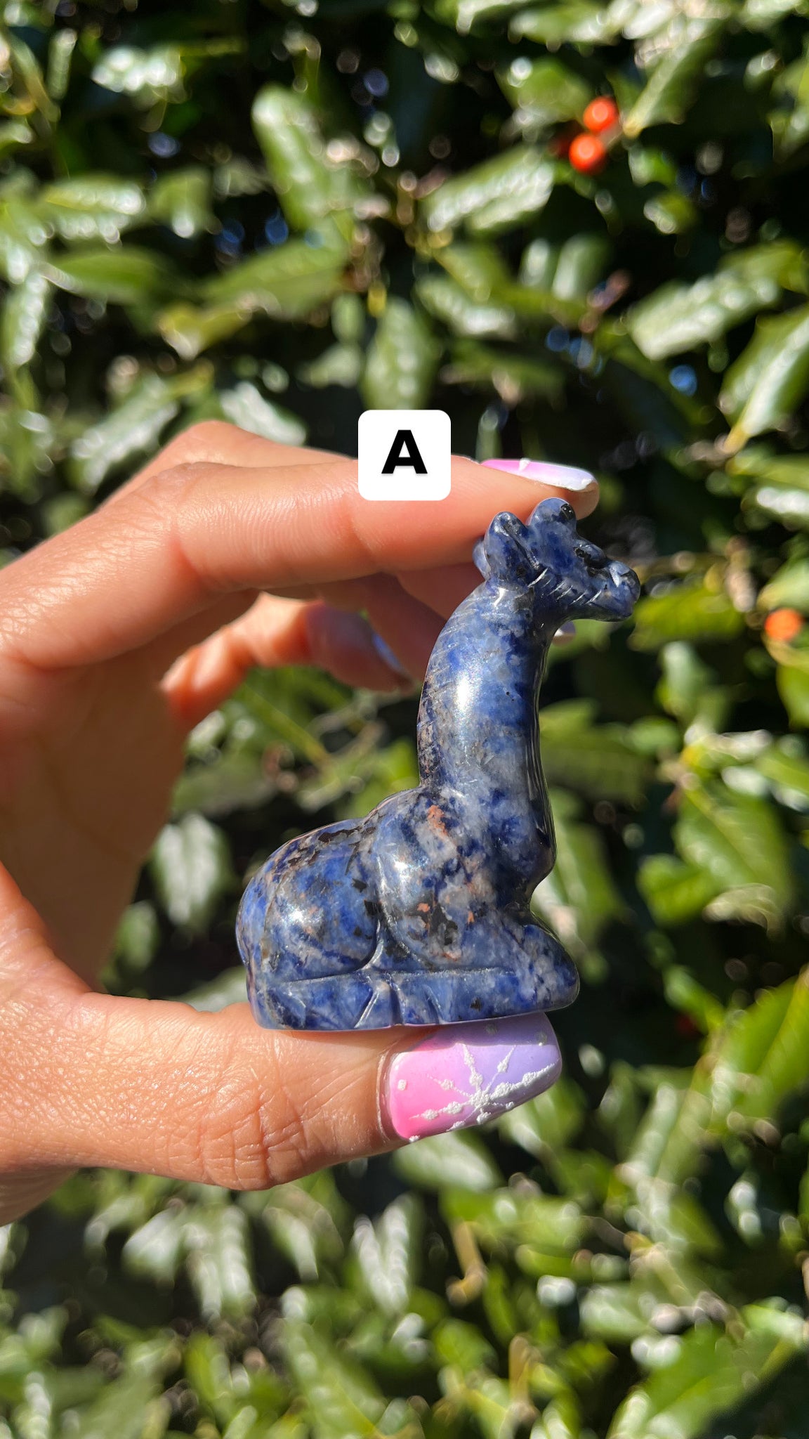 Sodalite Giraffe(Select)