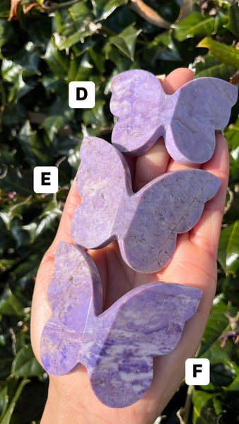 Purple Jade Butterfly(Select)