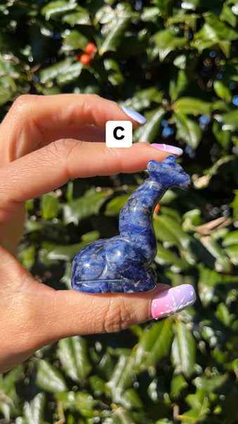 Sodalite Giraffe(Select)