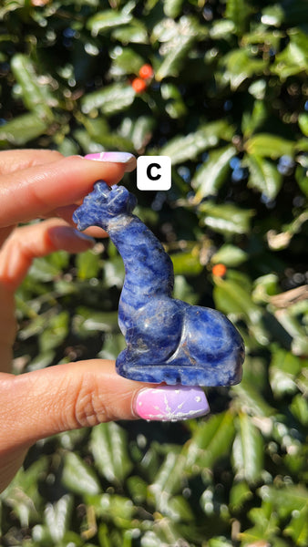 Sodalite Giraffe(Select)