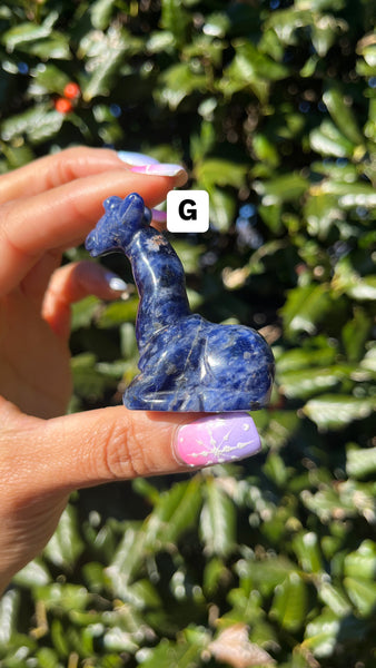 Sodalite Giraffe(Select)