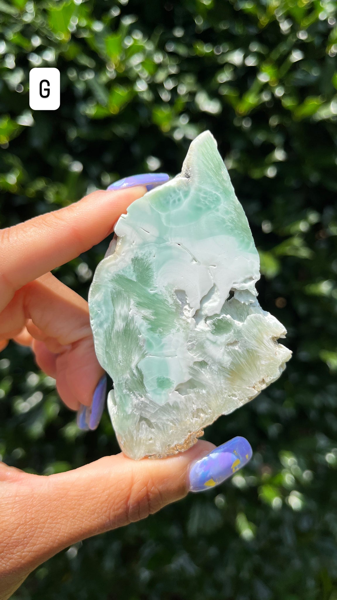 Aragonite Slab