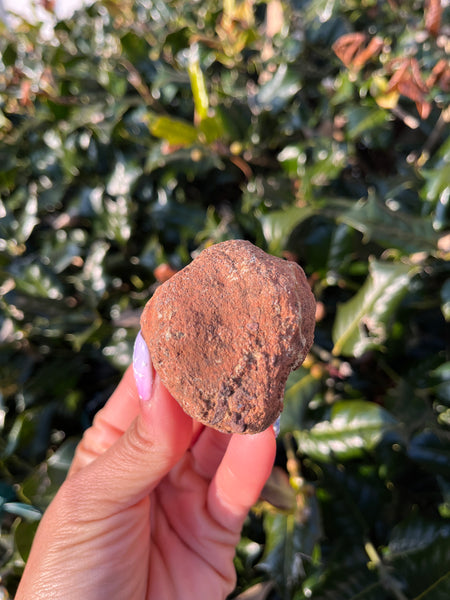 Coyamito Agate