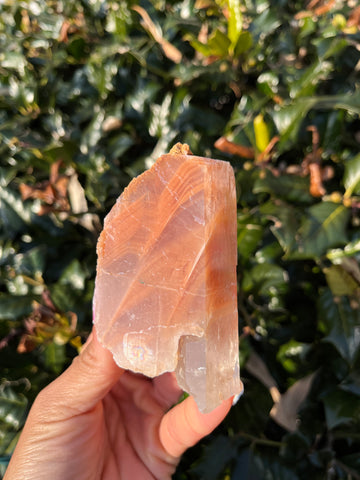 Phantom Calcite