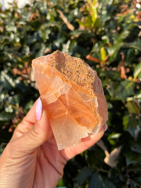 Phantom Calcite