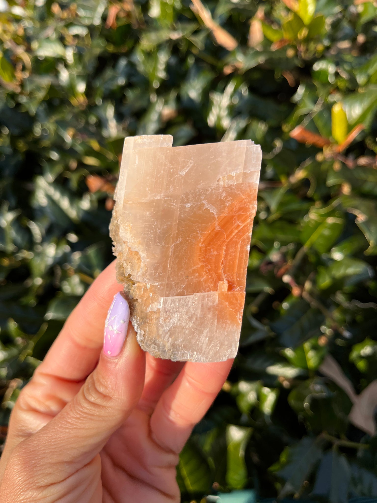 Phantom Calcite