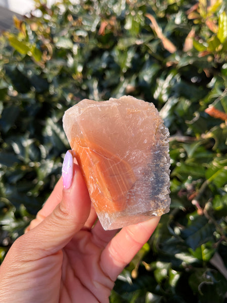 Phantom Calcite